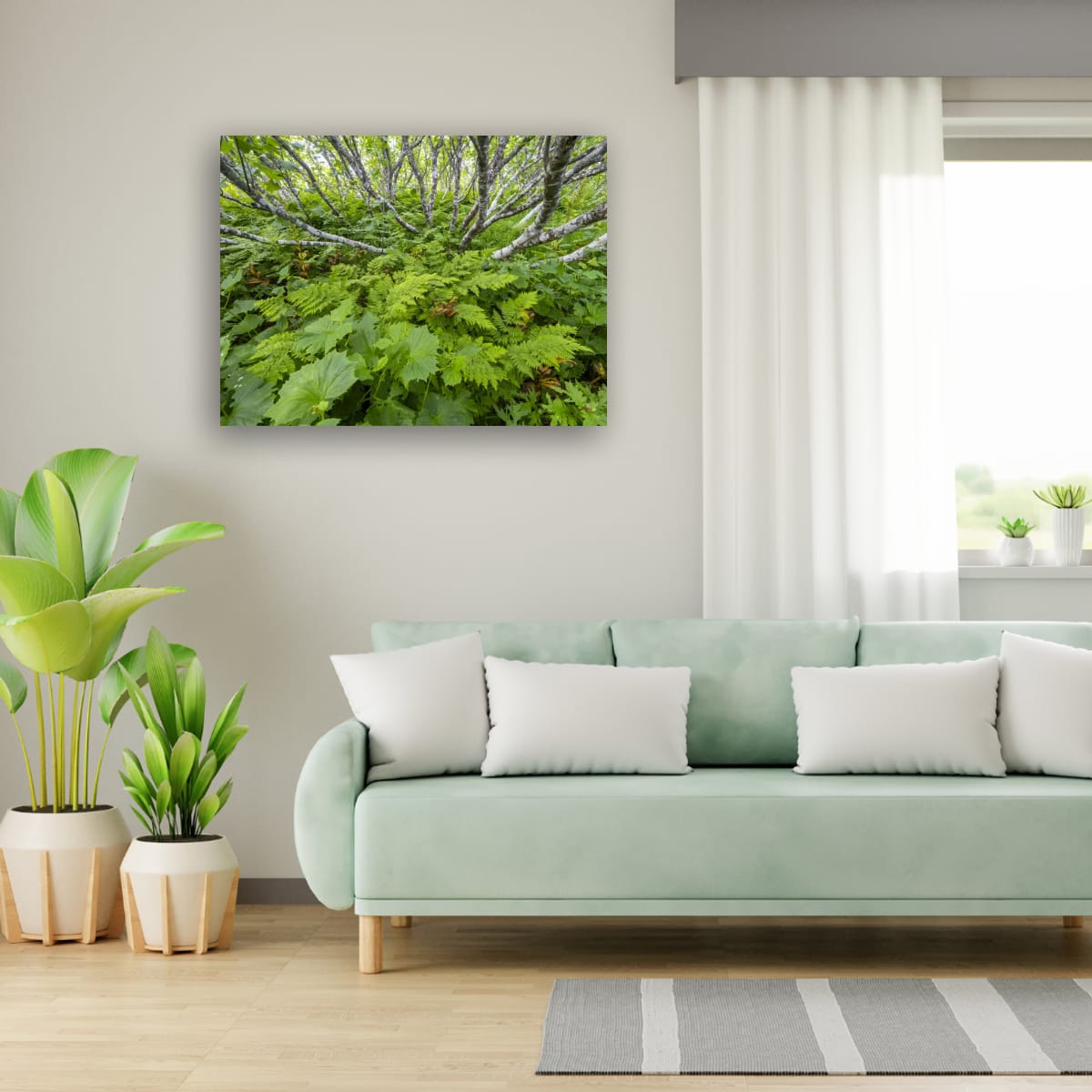 Birch and Fern