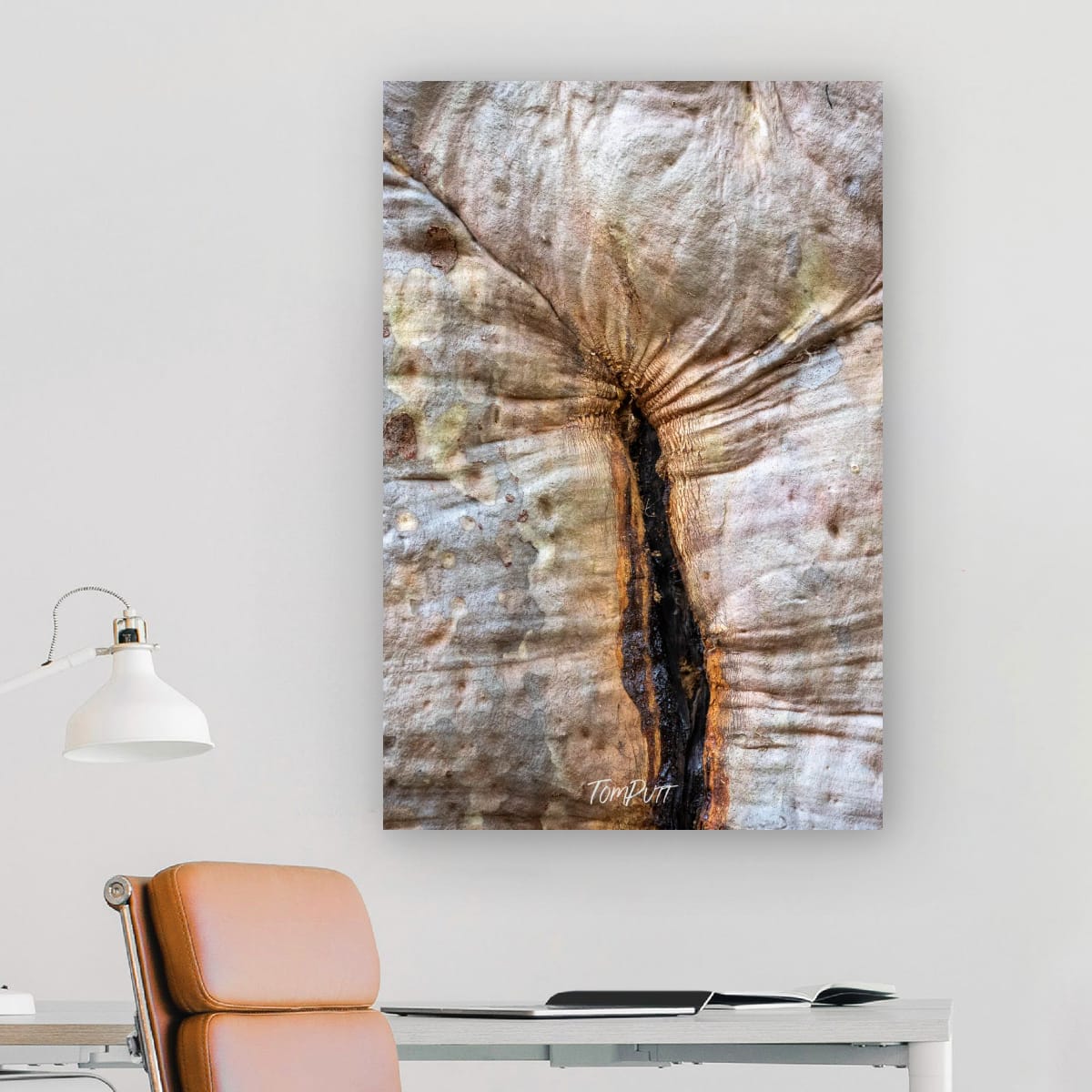 Wrinkles of Time, Carnarvon Gorge