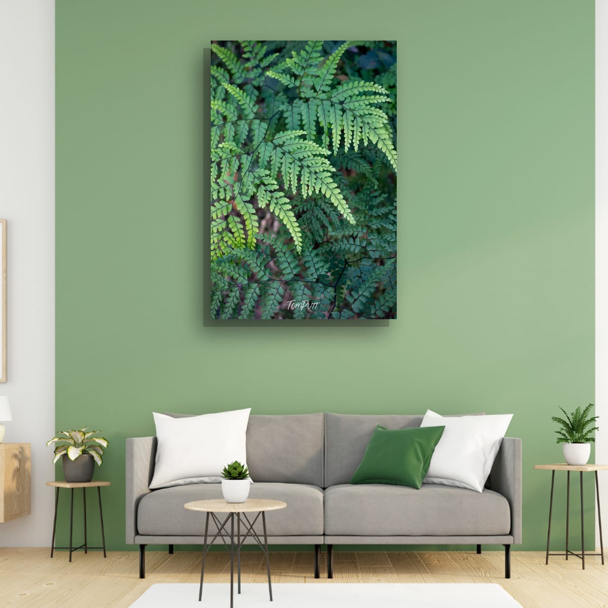Shades of Green, Carnarvon Gorge