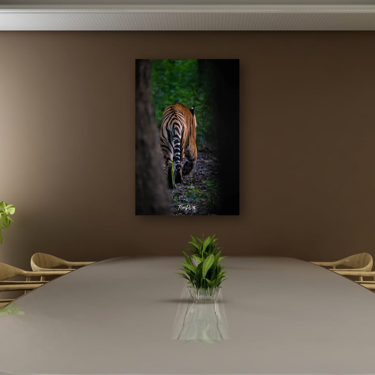 A Tiger's Exit, India