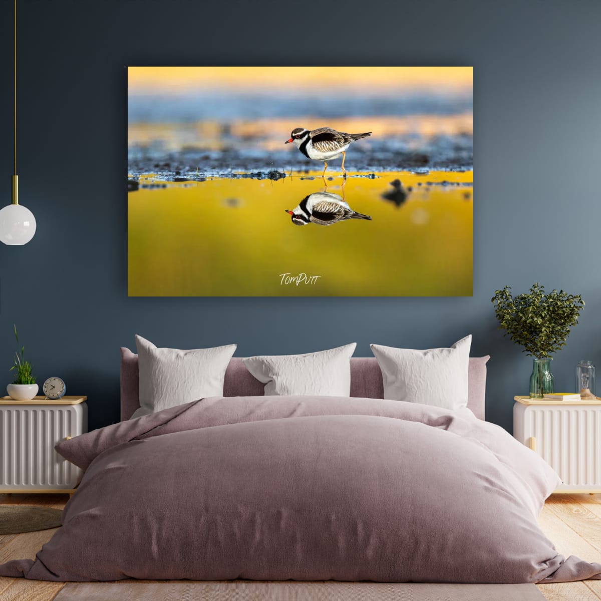 Tide’s Mirror. Black-Fronted Dotterel