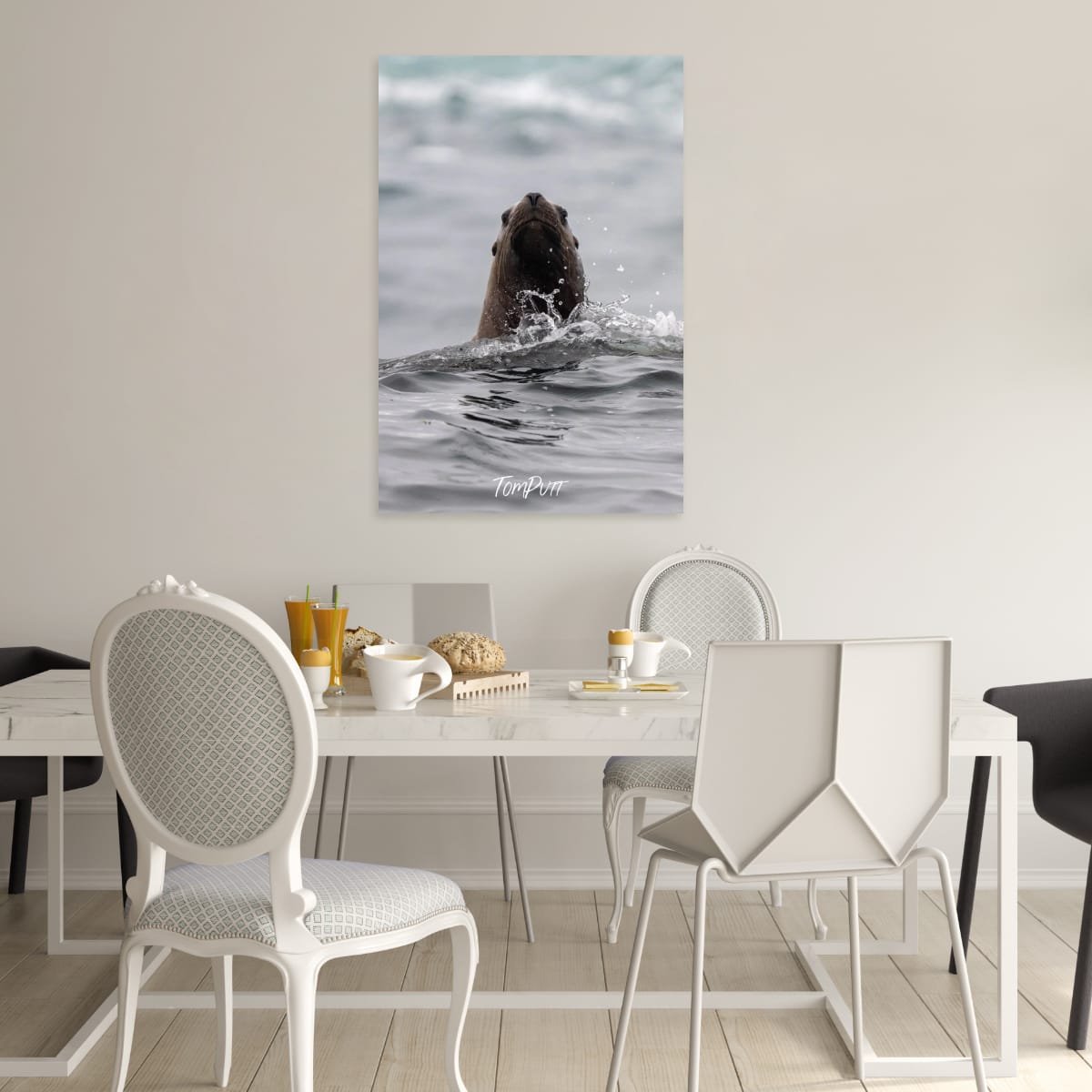 Curious Rising: Sea Lion