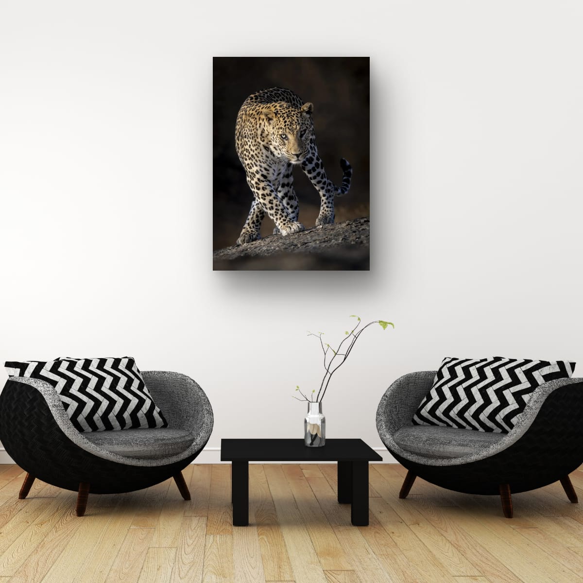 Elegant Danger, India