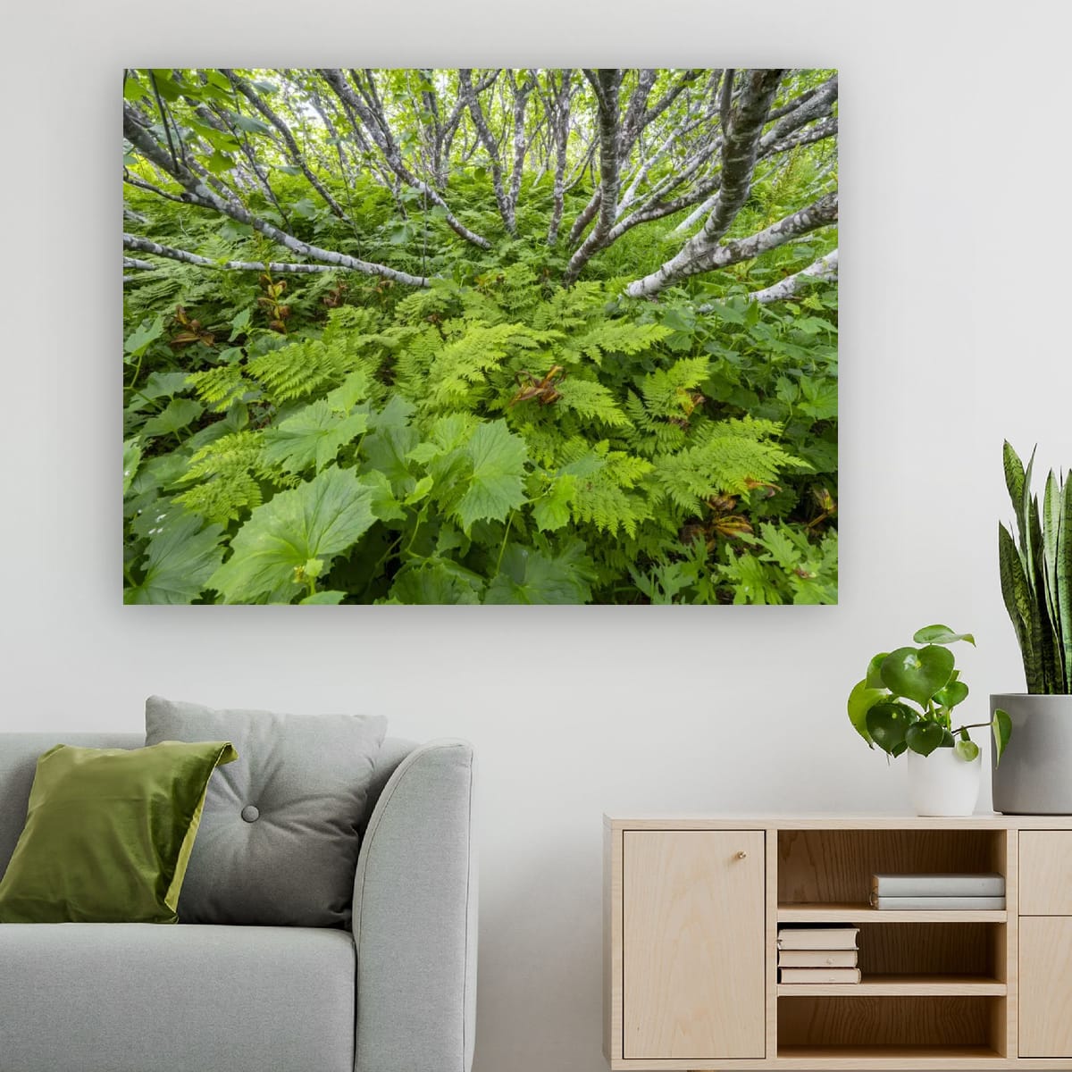 Birch and Fern