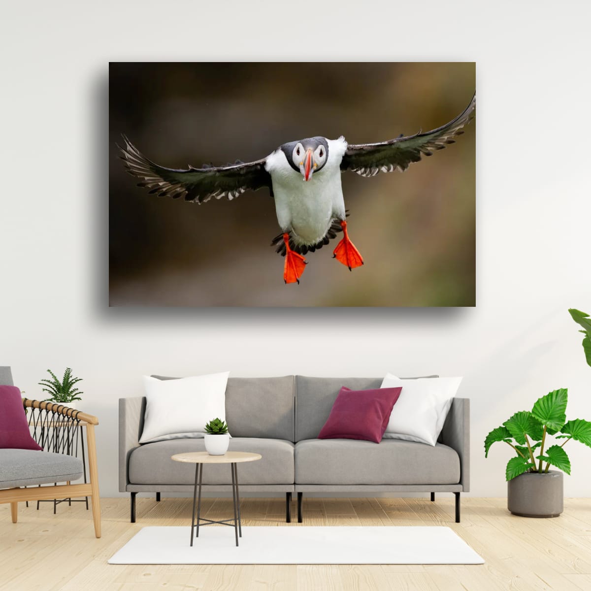 Flight of the Atlantic Puffin