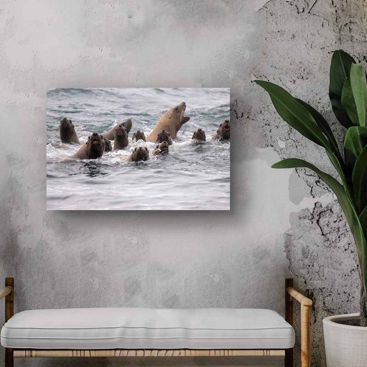 Coaching the Team: Sea Lions
