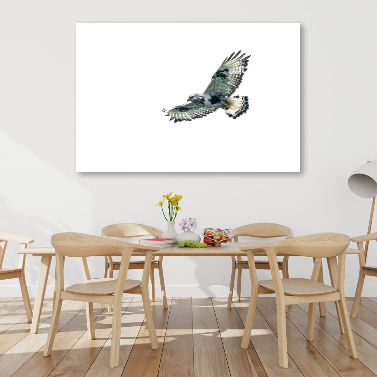 Soaring. Rough-Legged Hawk