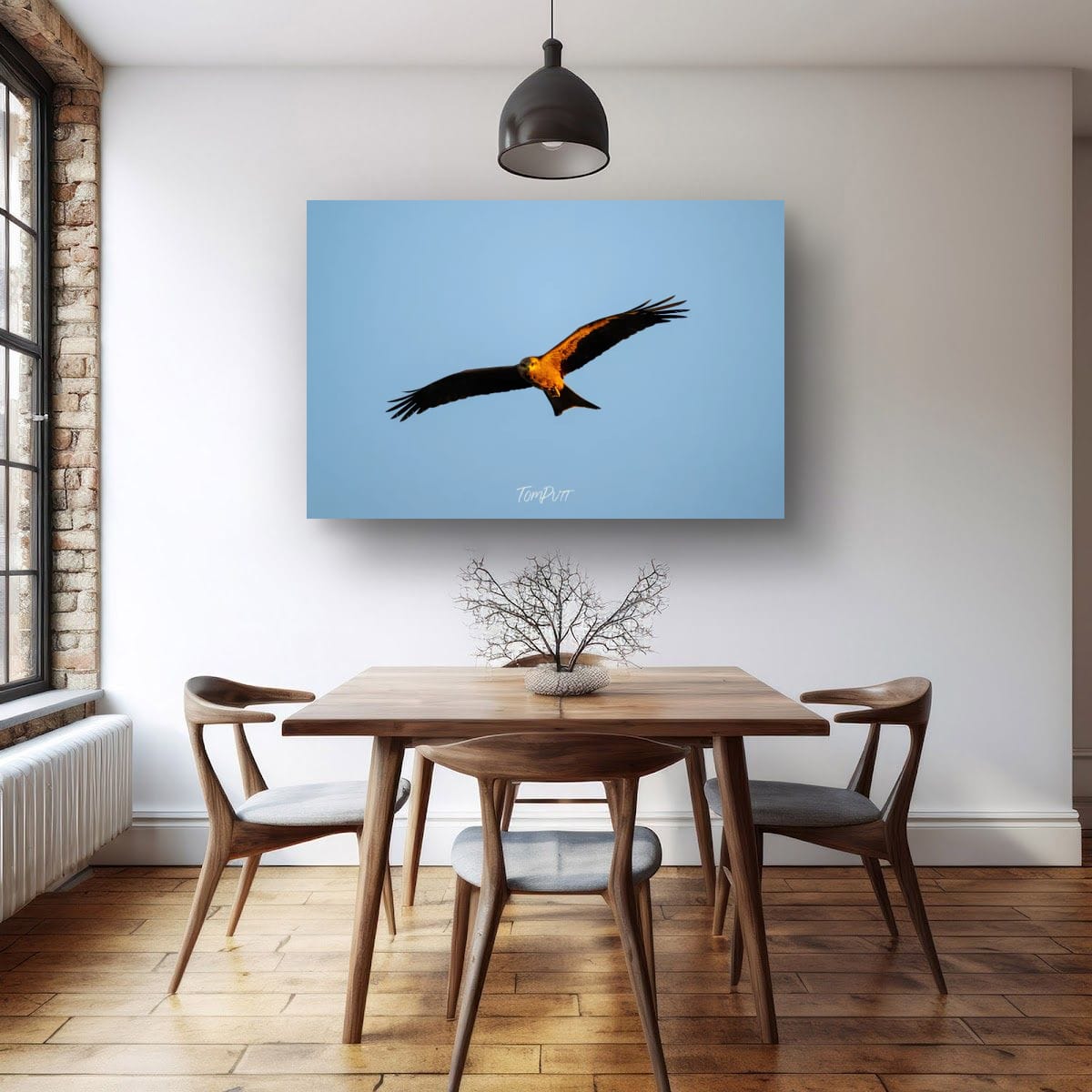 In the Gaze of the Black Kite