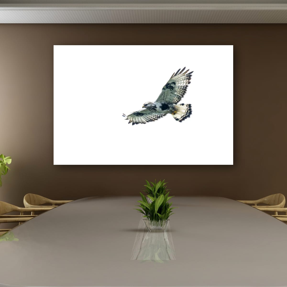 Soaring. Rough-Legged Hawk