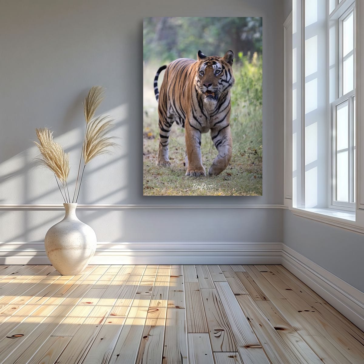 Tiger in Motion, India