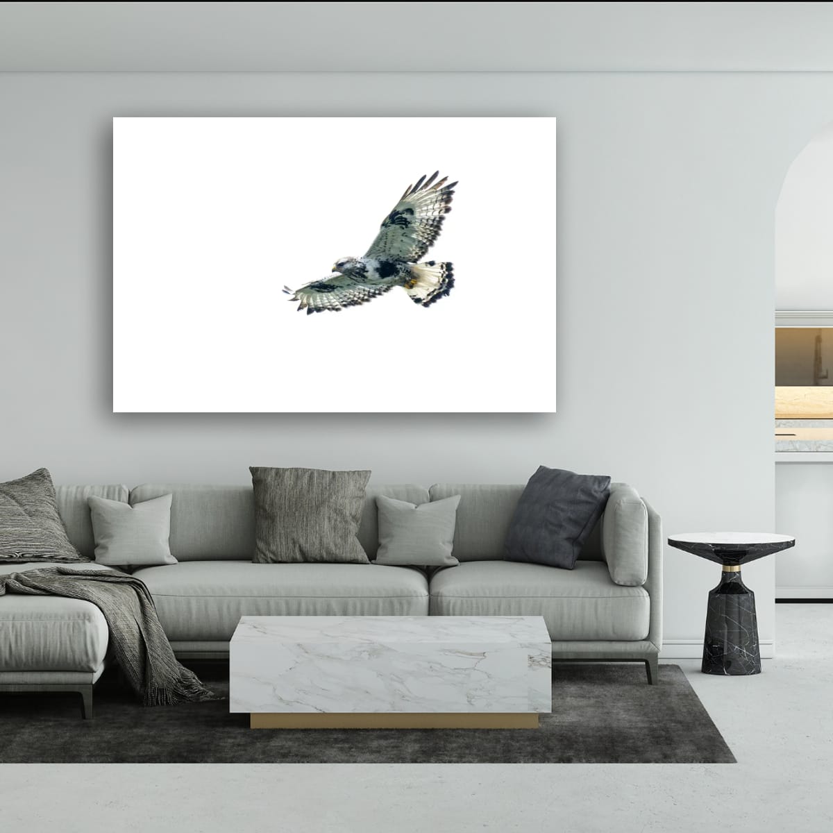 Soaring. Rough-Legged Hawk