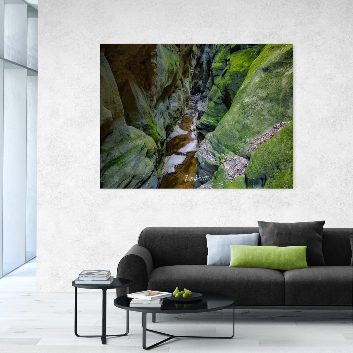 Between Moss-Draped Walls, Carnarvon Gorge