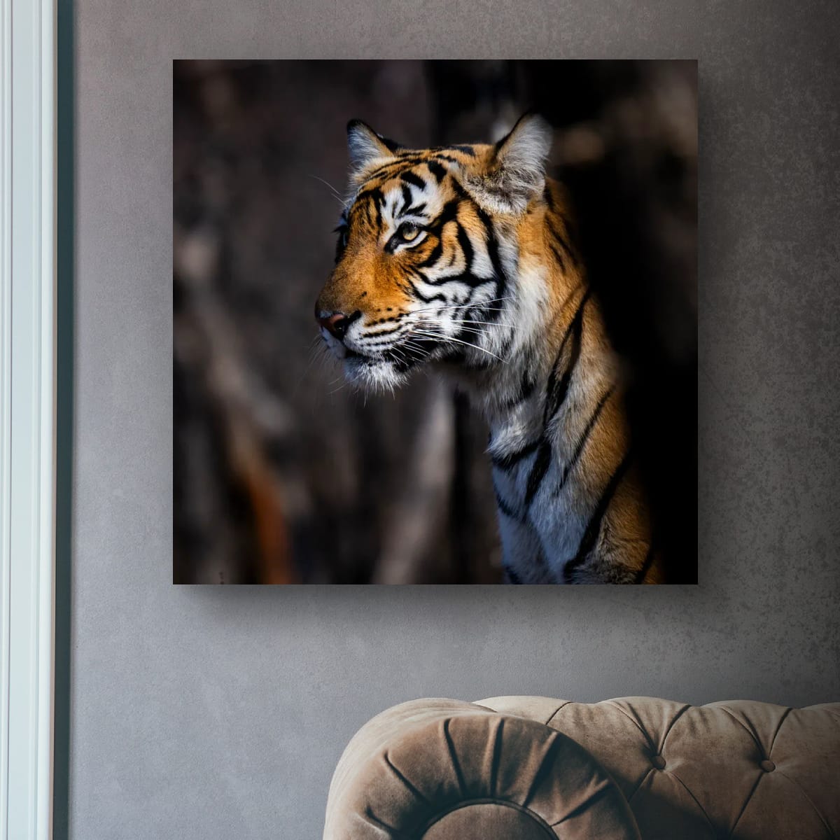 Tiger Portrait, India