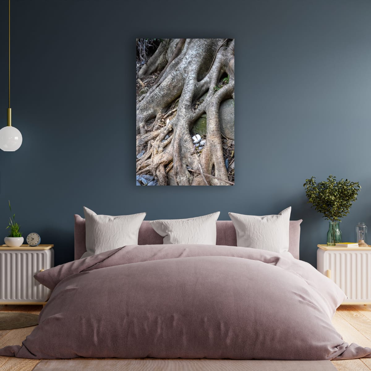 Tangled, Carnarvon Gorge