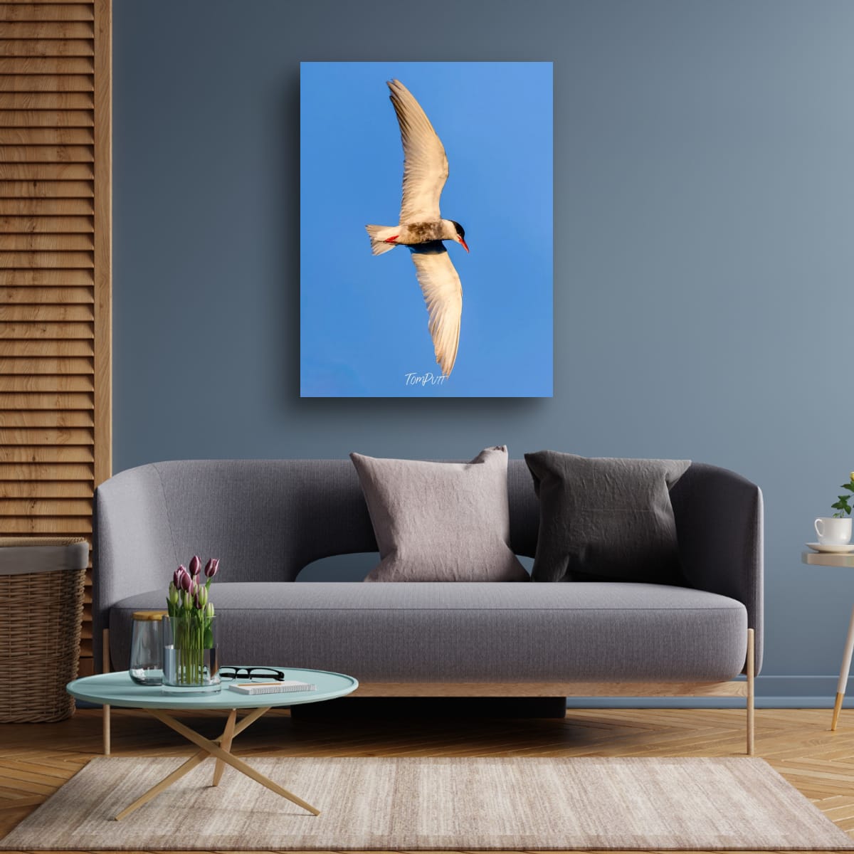 Against the Blue. Whiskered Tern