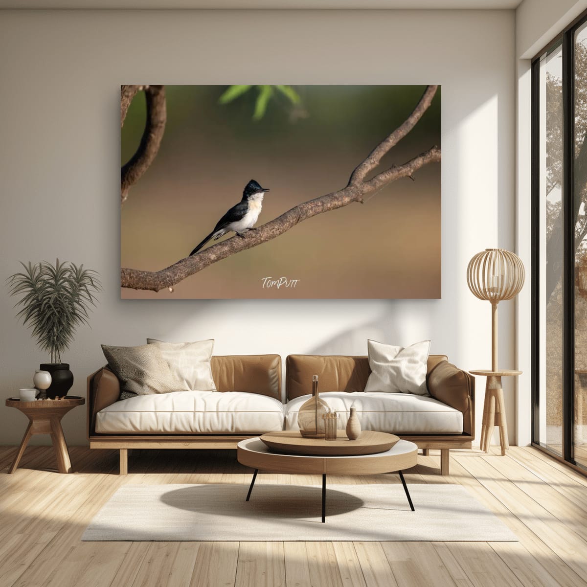 Call of the Paperbark Flycatcher