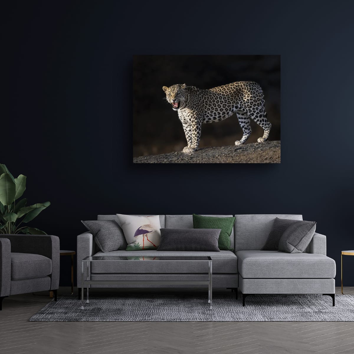 Fierce Leopard, India