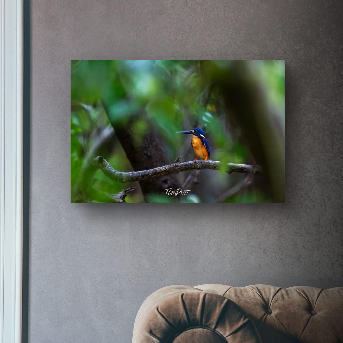Azure Kingfisher Sentinel