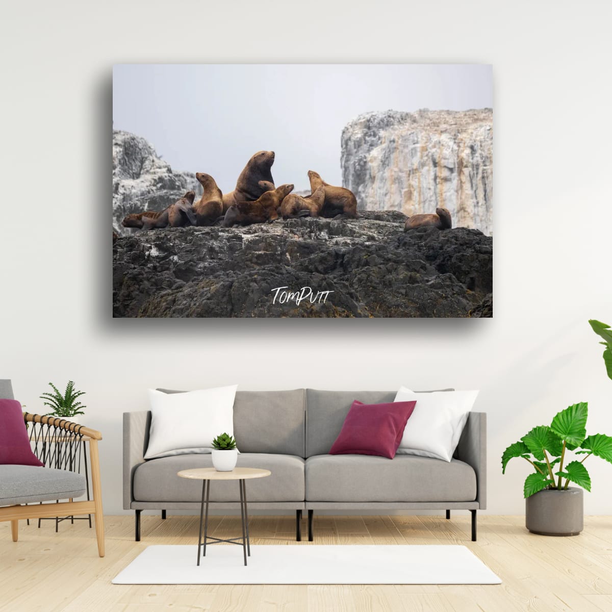 Mountain Top Meeting: Sea Lion