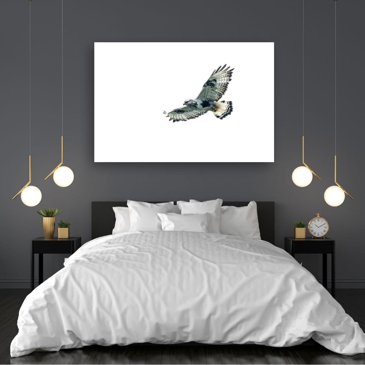 Soaring. Rough-Legged Hawk