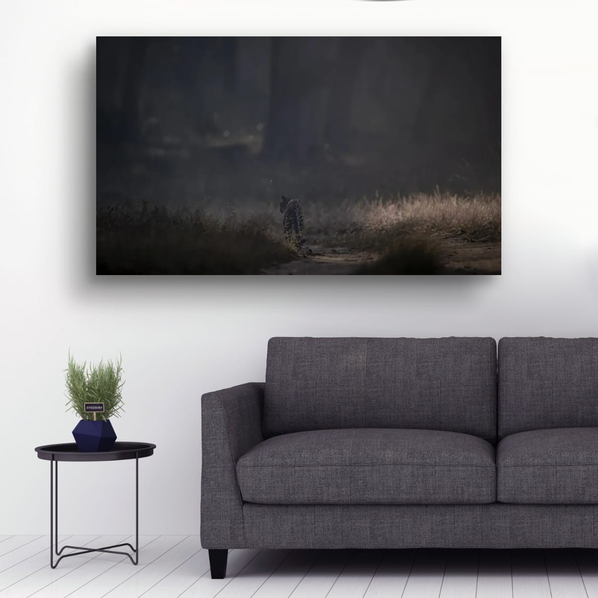 Leopard in the Mist, India