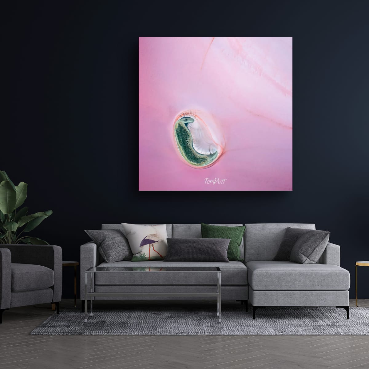 Lost in the Pink