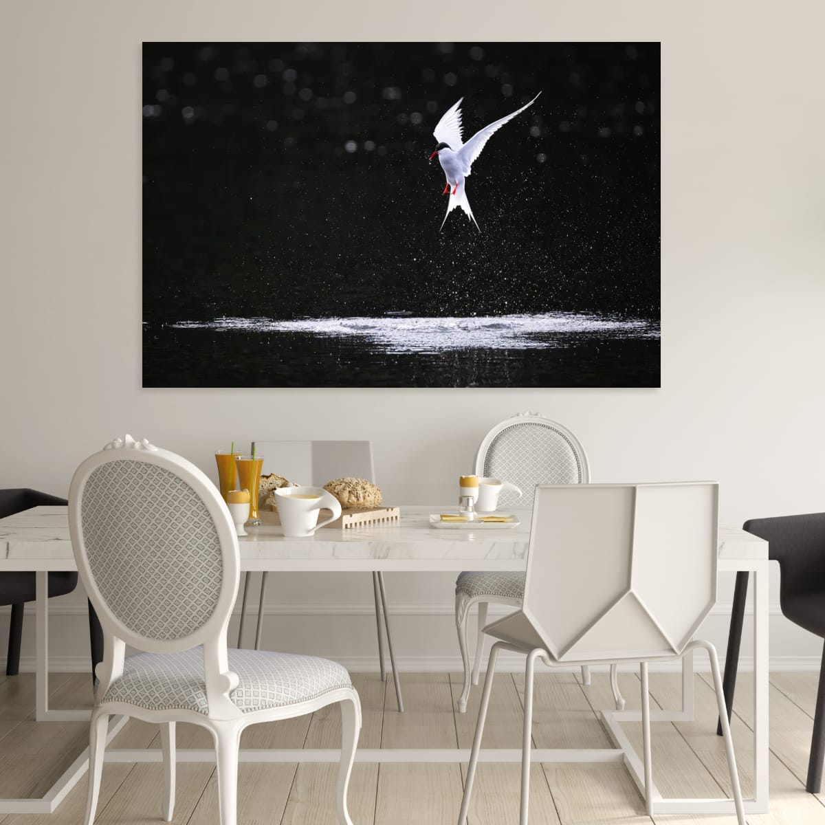 Aerial Dance. Arctic Tern