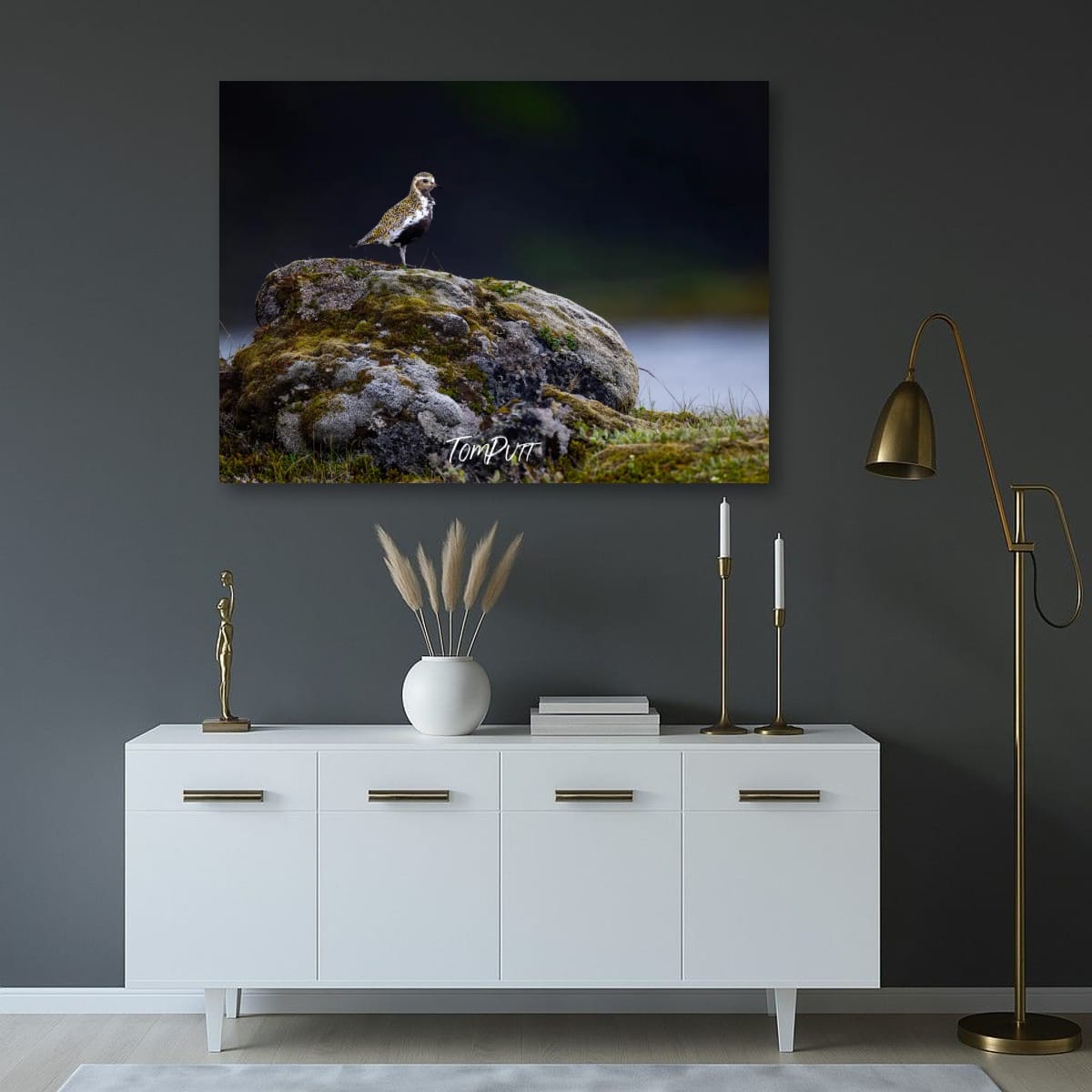 Stone & Song. Golden Plover