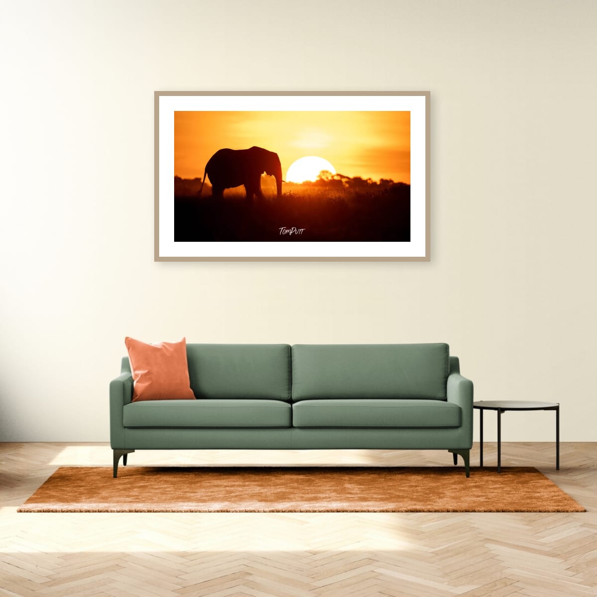 Savanna Sunset and Silhouette