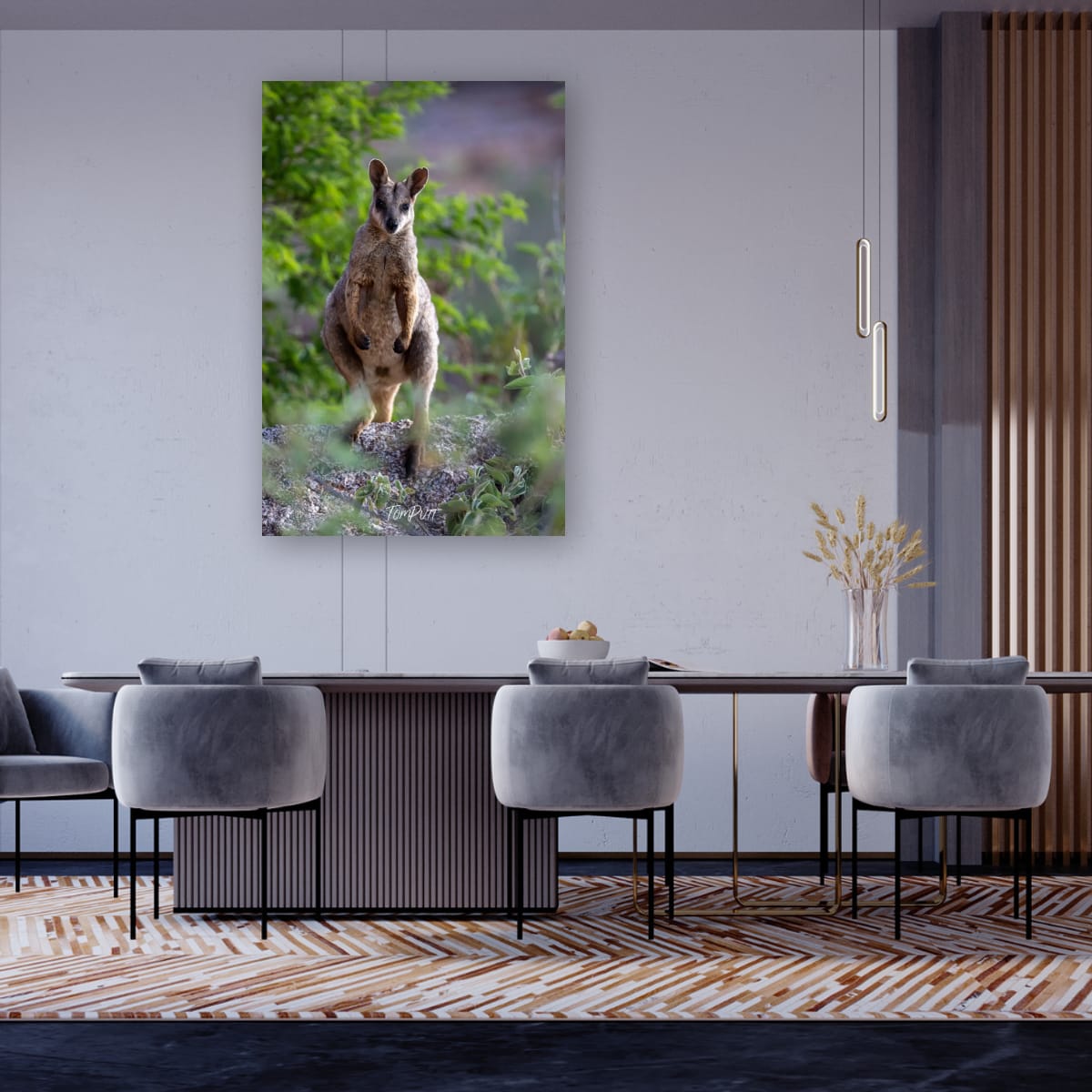 Sentinel. Purple-Necked Rock Wallaby