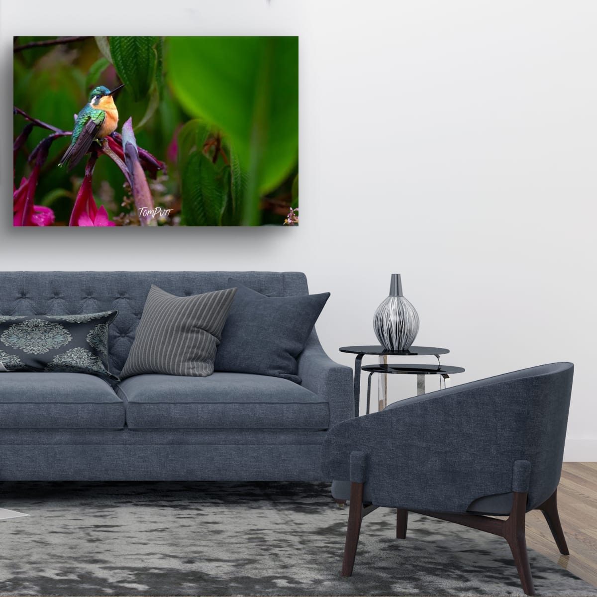 Purple-throated Mountain-gem (female) #2, Costa Rica