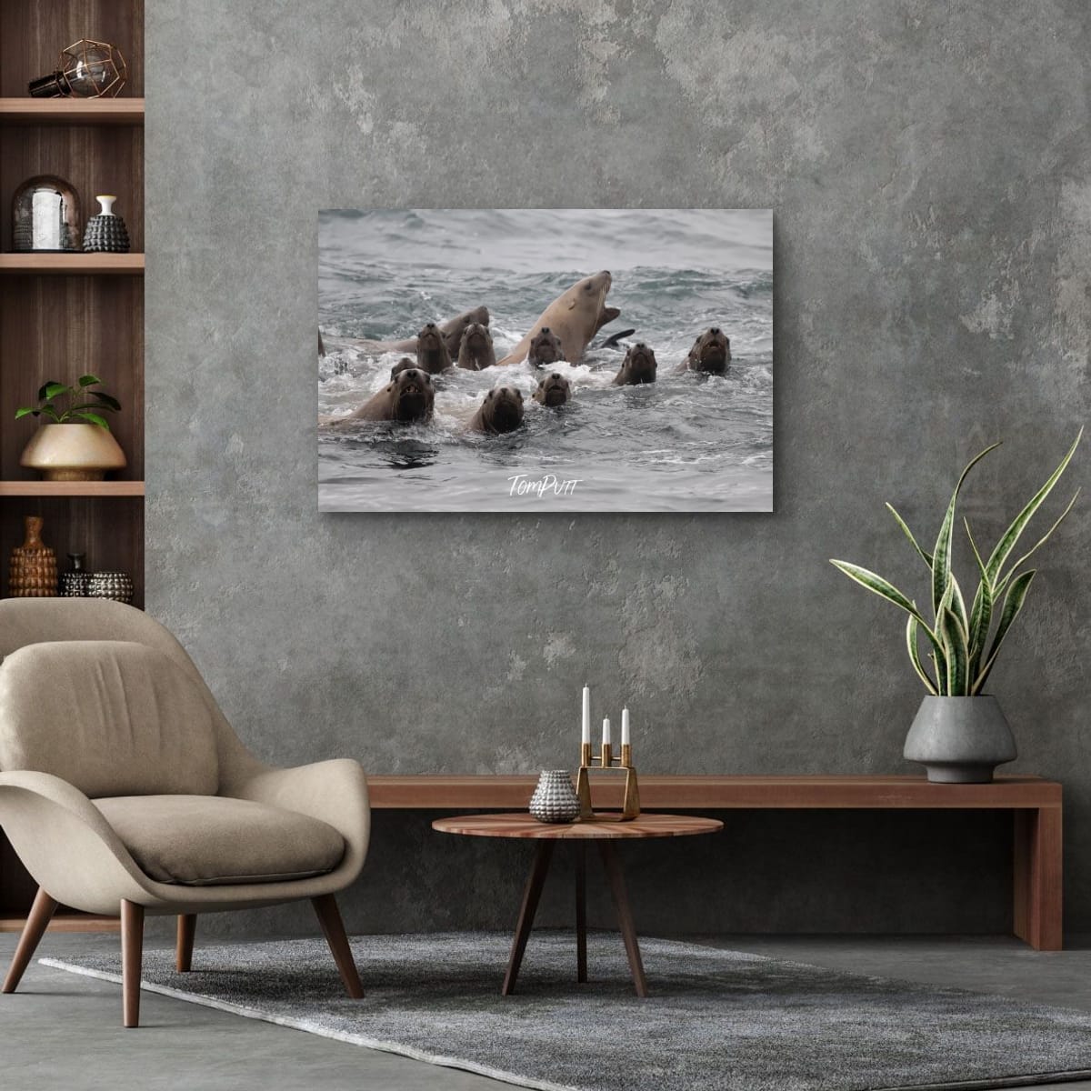 Divided Attention: Sea Lions