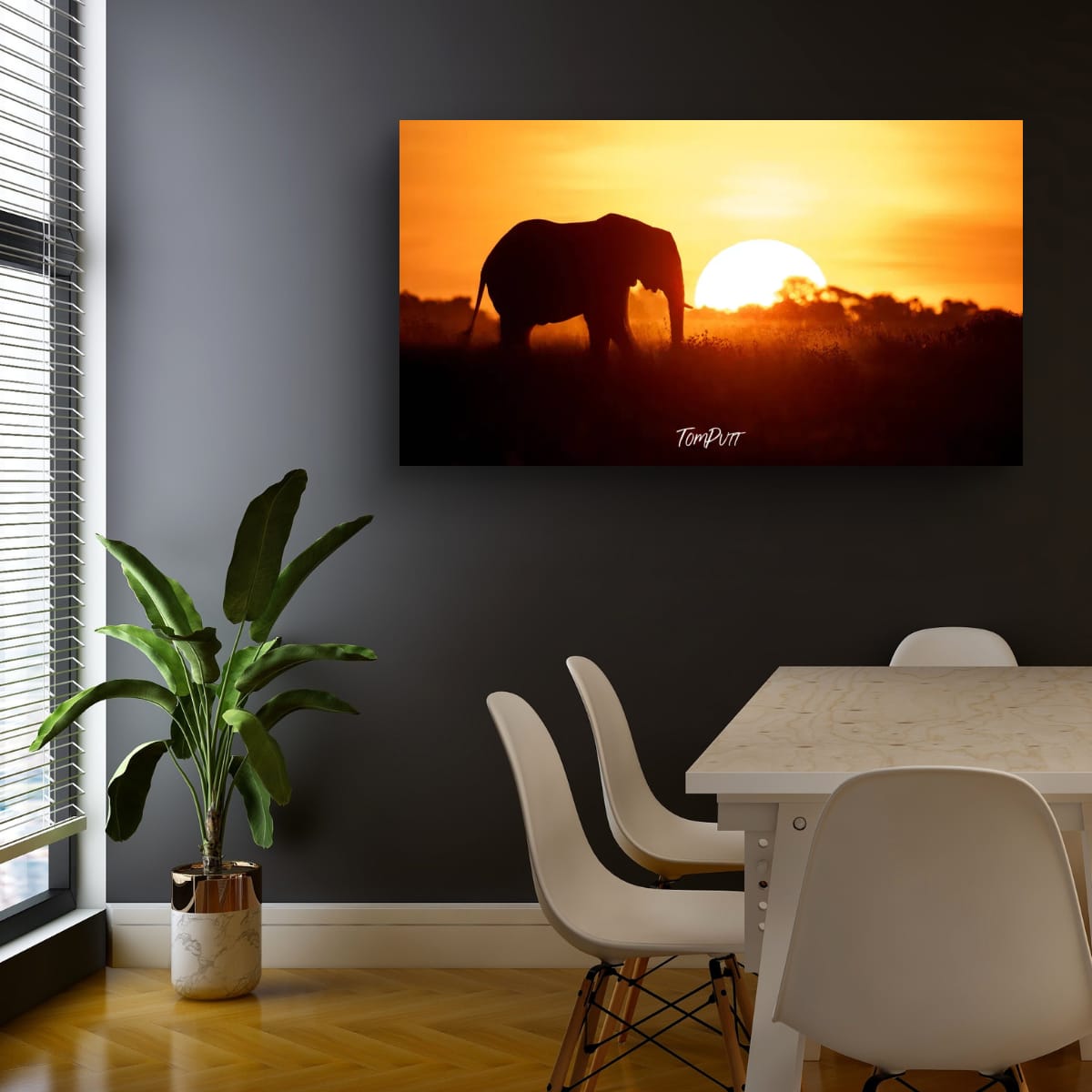 Savanna Sunset and Silhouette