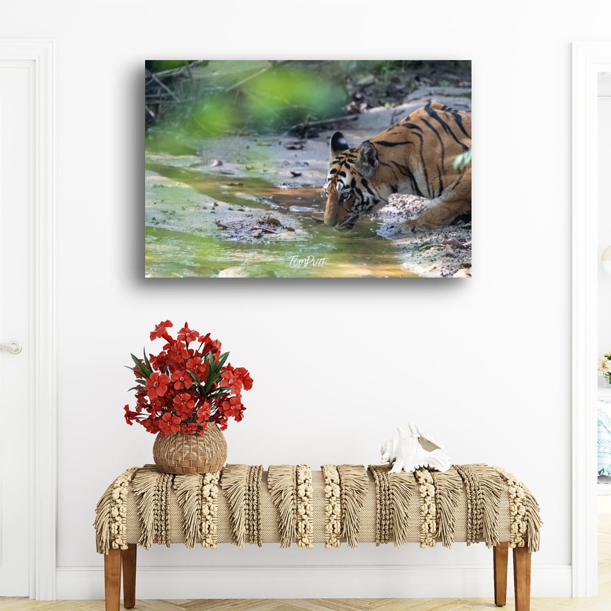 Tiger's Thirst, India