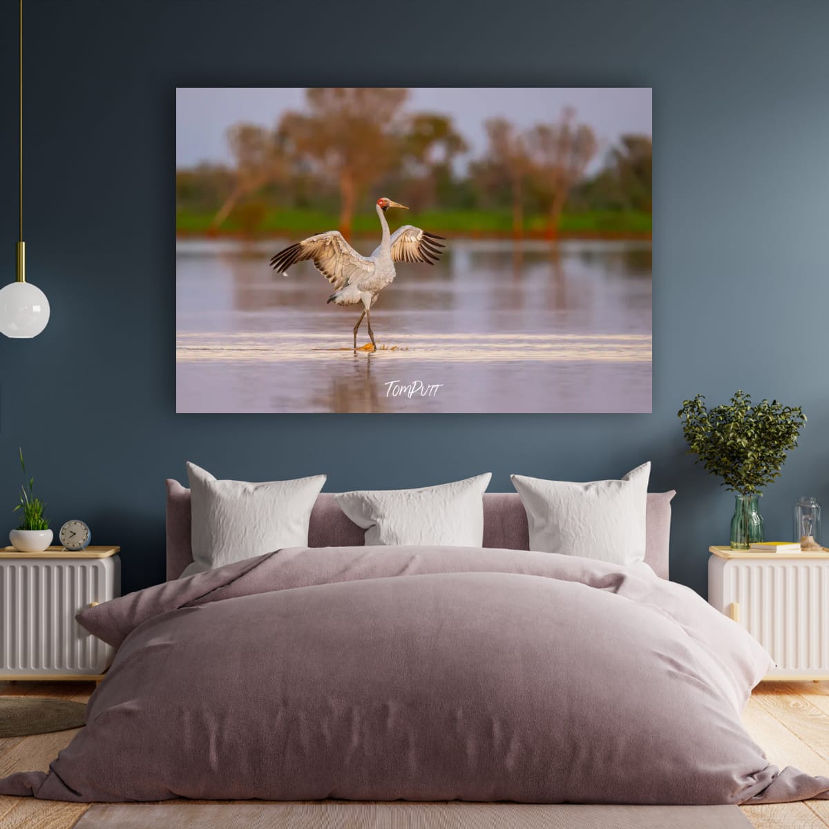 Strutting Brolga