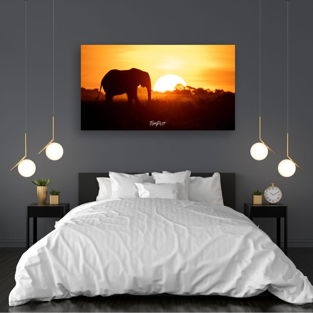 Savanna Sunset and Silhouette