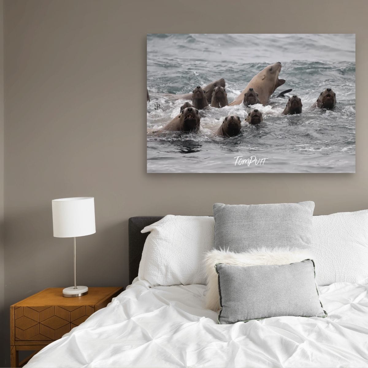 Divided Attention: Sea Lions
