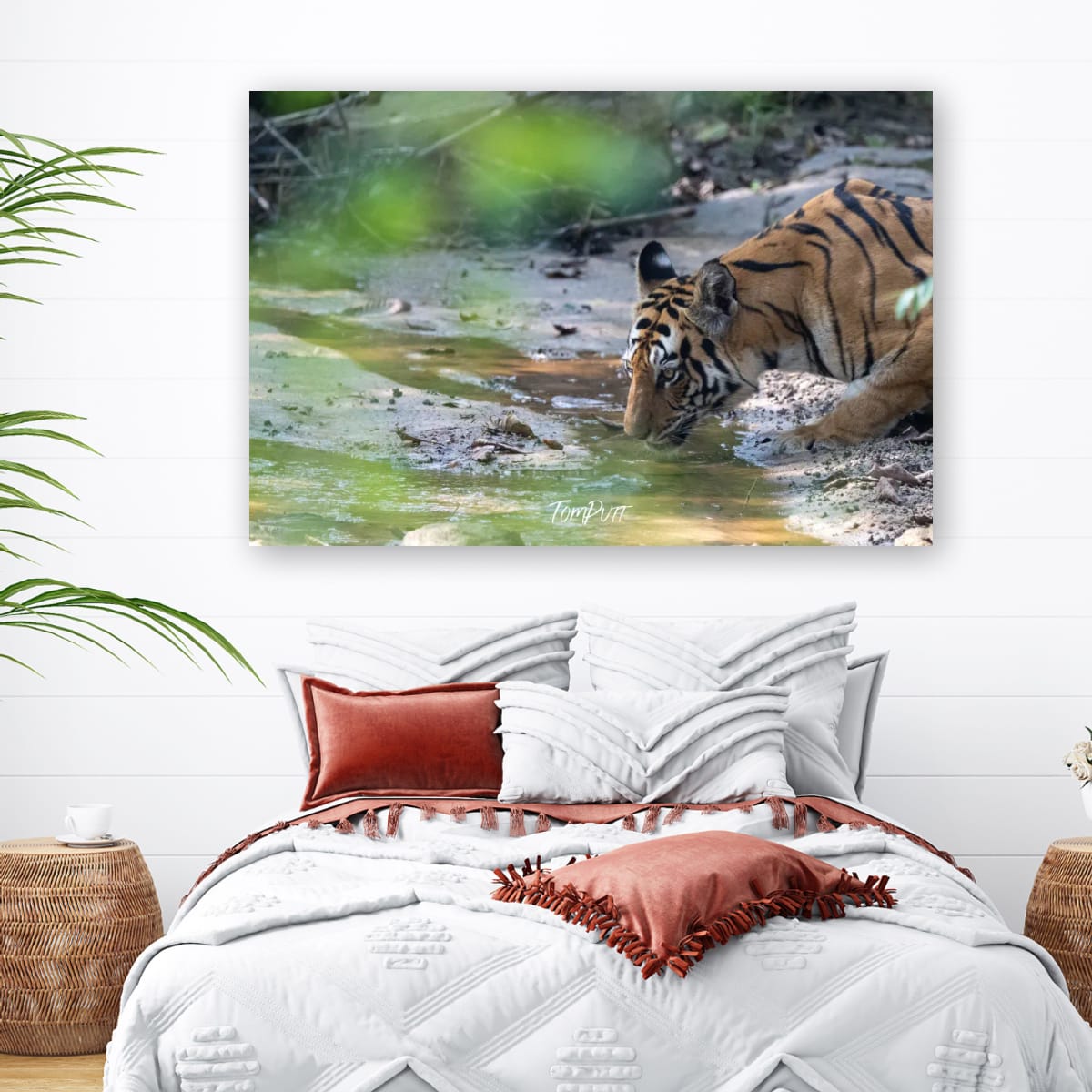 Tiger's Thirst, India