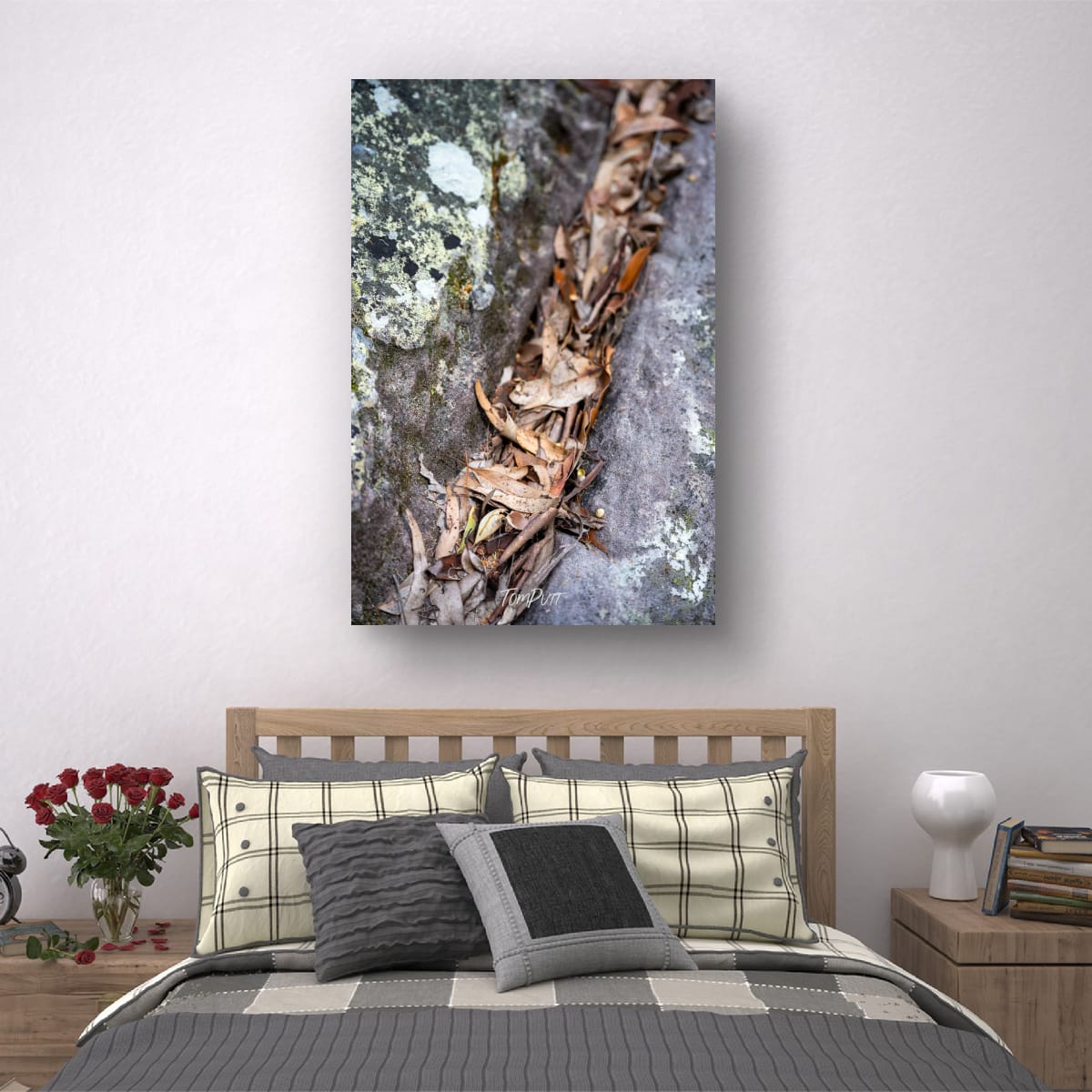 A Gathering of Leaves, Carnarvon Gorge