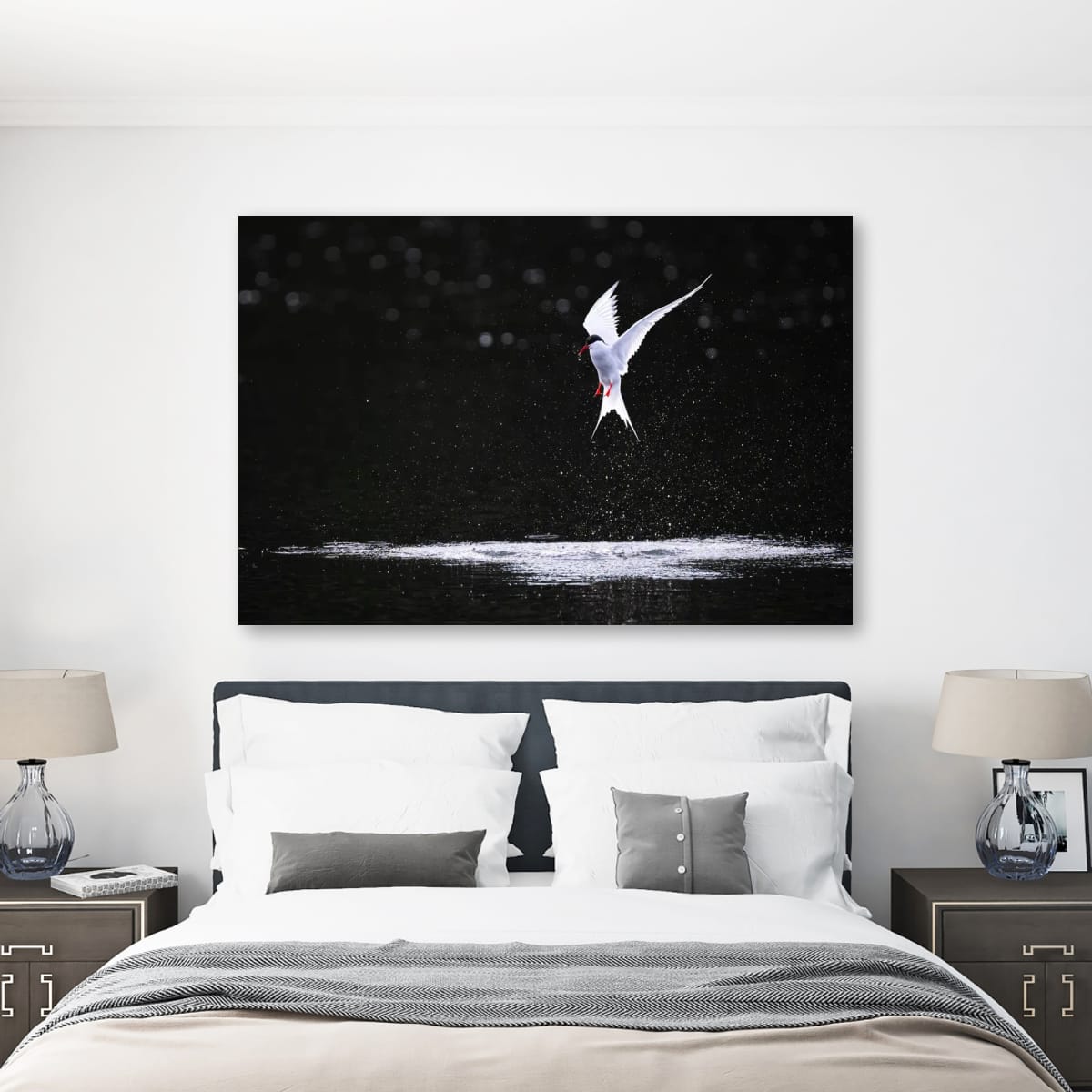 Aerial Dance. Arctic Tern