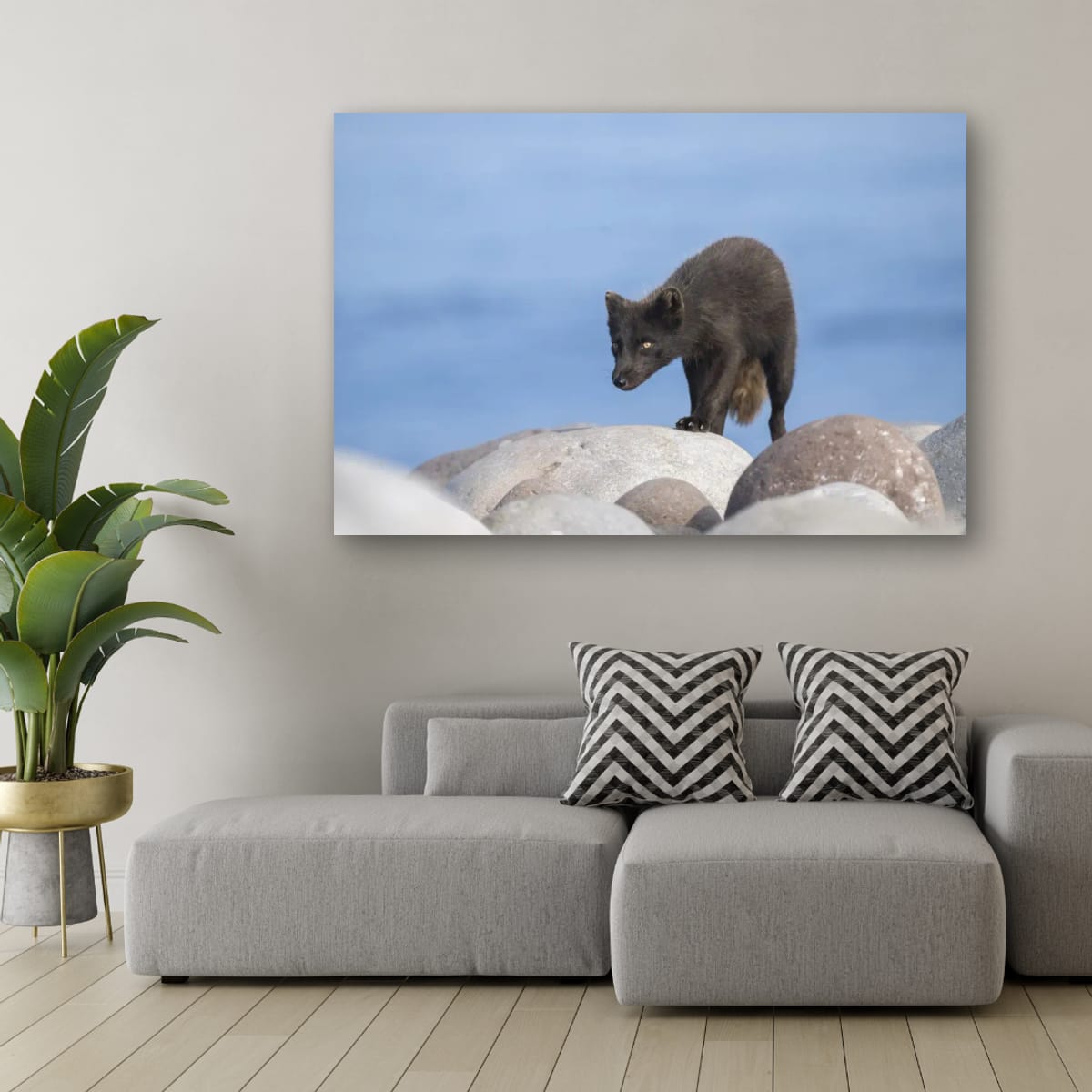 Watching and Waiting: Arctic Fox