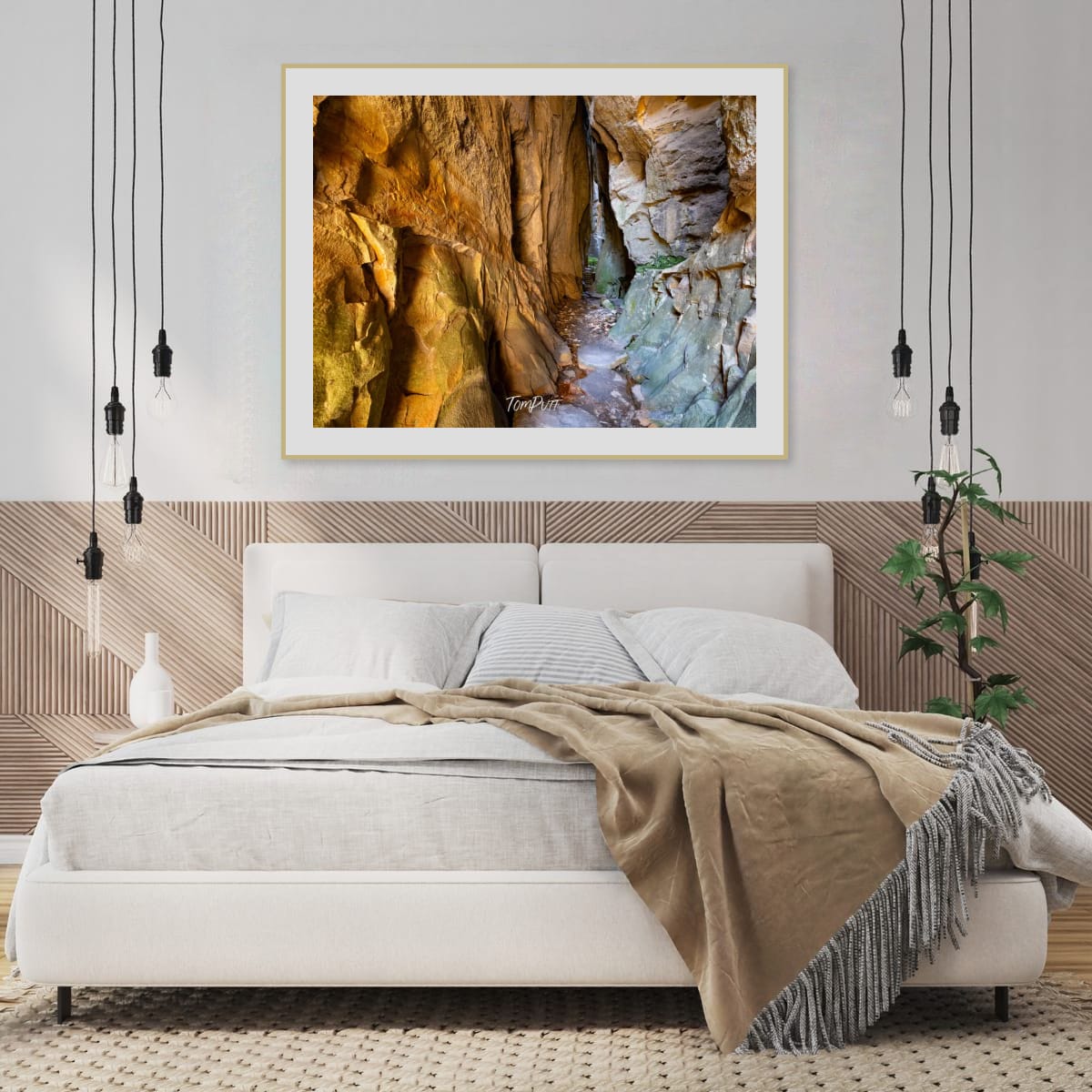 Amphitheatre Entrance, Carnarvon Gorge