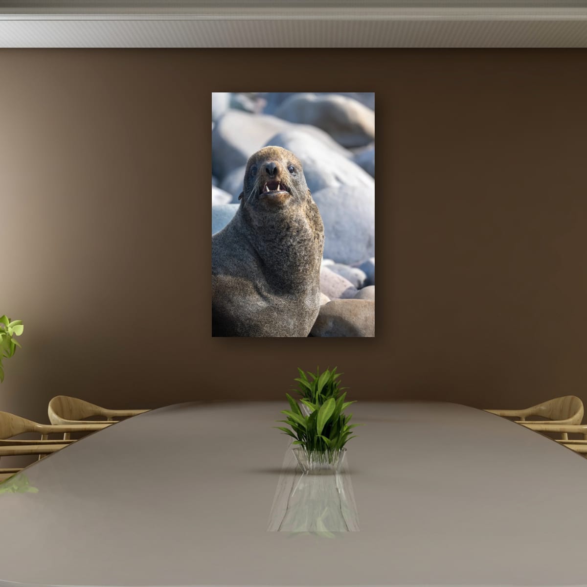 Teeth and Fur: Sea Lion