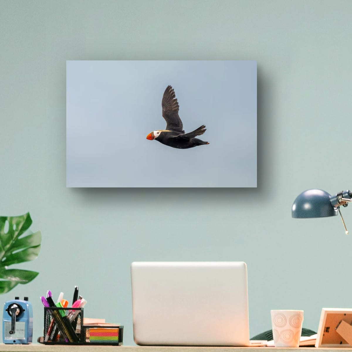 Blue Sky Flight: Tufted Puffin