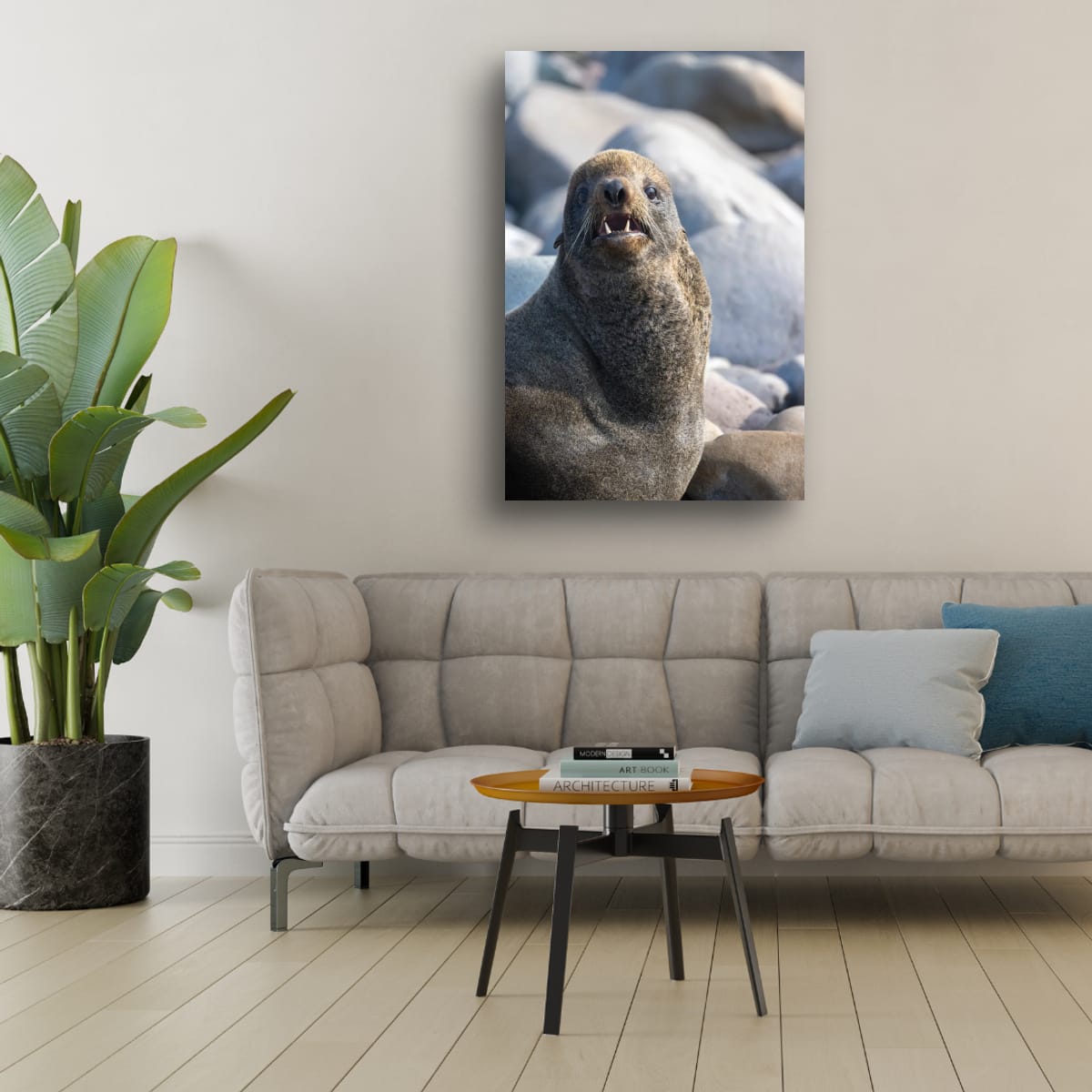 Teeth and Fur: Sea Lion