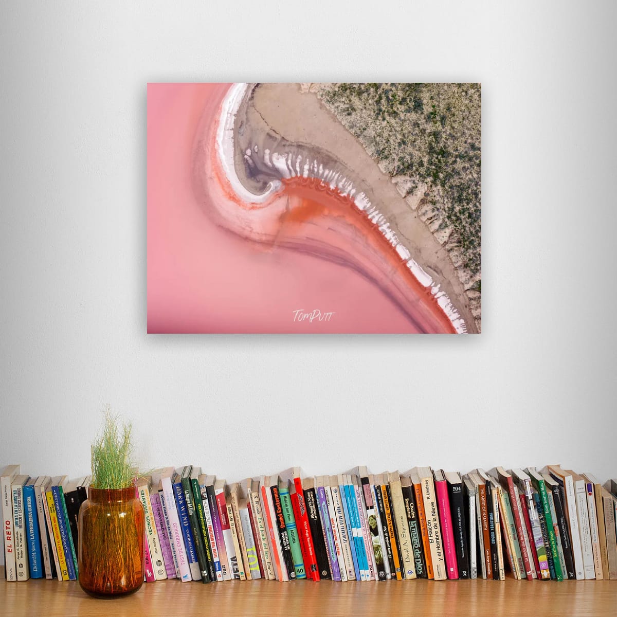 Gentle Curve in Pink