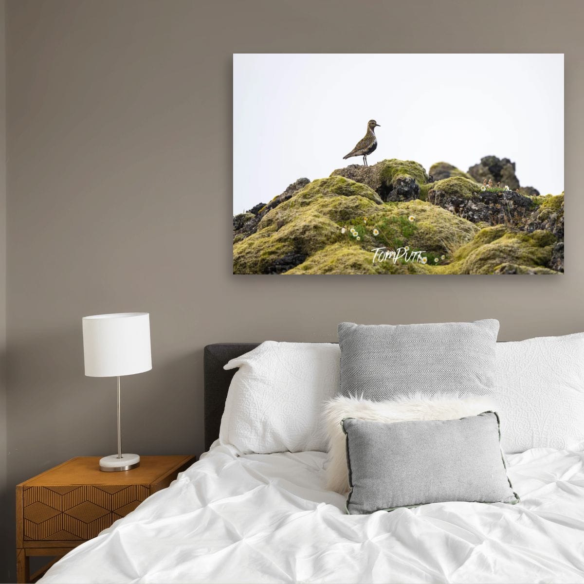 High Place. Golden Plover