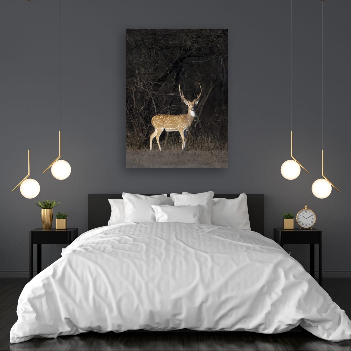 Spotted Majesty, India