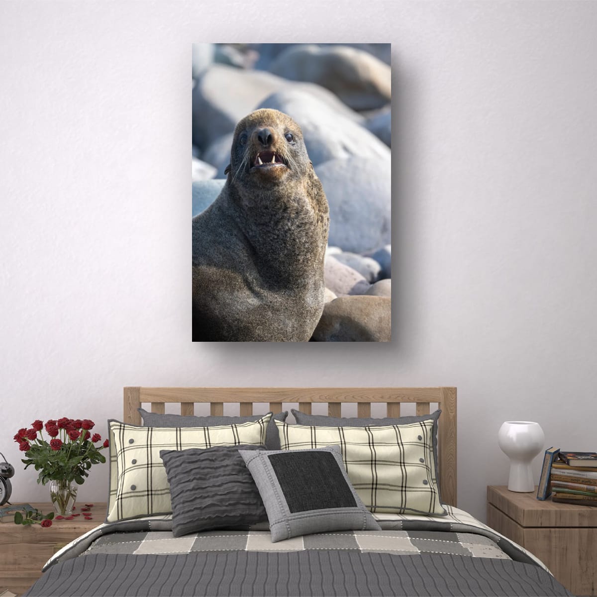 Teeth and Fur: Sea Lion