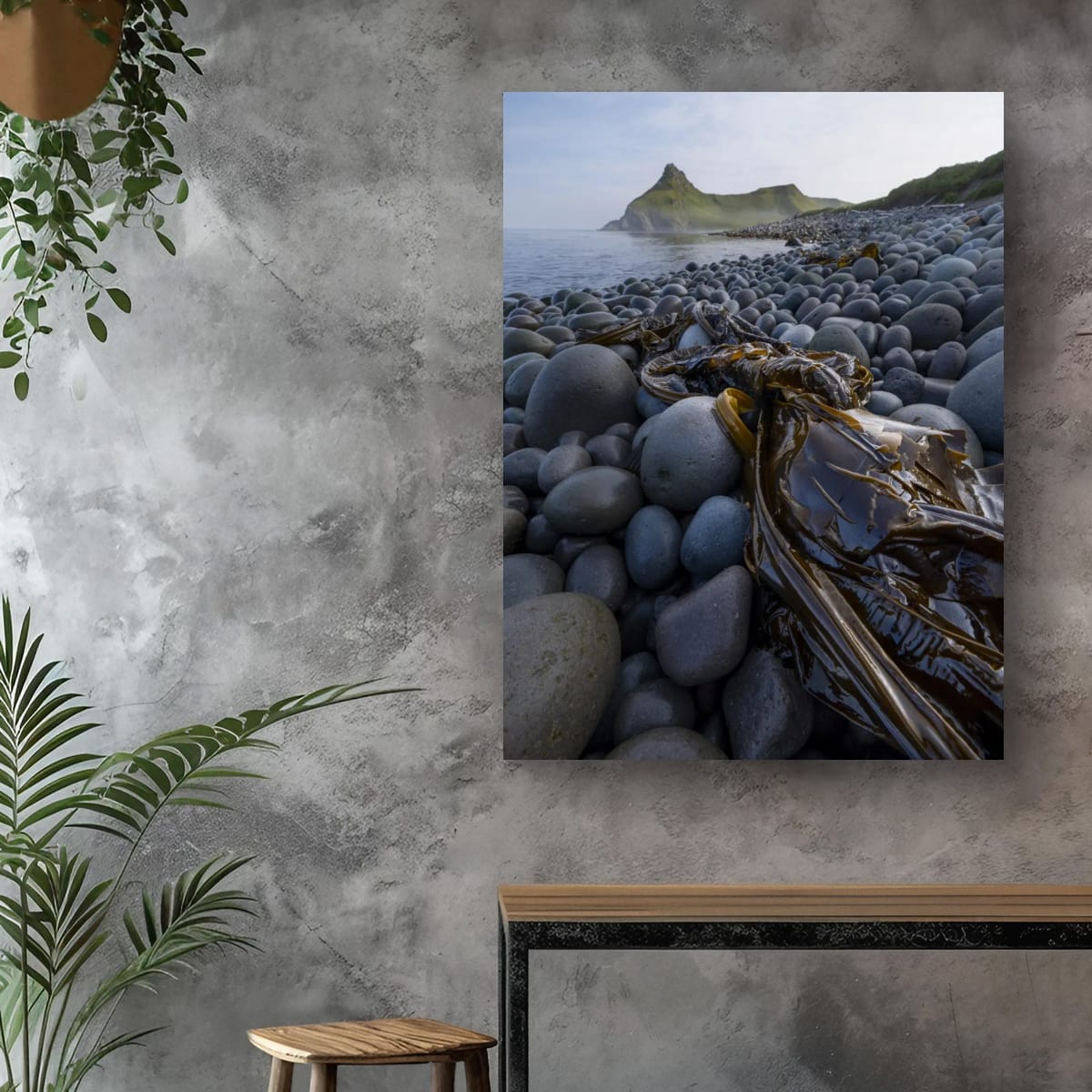 Kelp and Stone